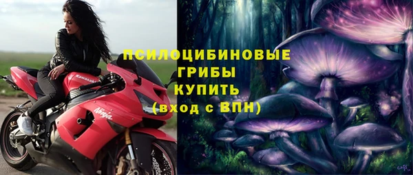 твердый Алексин