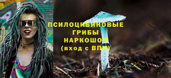 spice Армянск